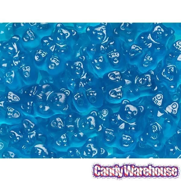 Albanese Blue Raspberry Gummy Bears: 5LB Bag - Image 2