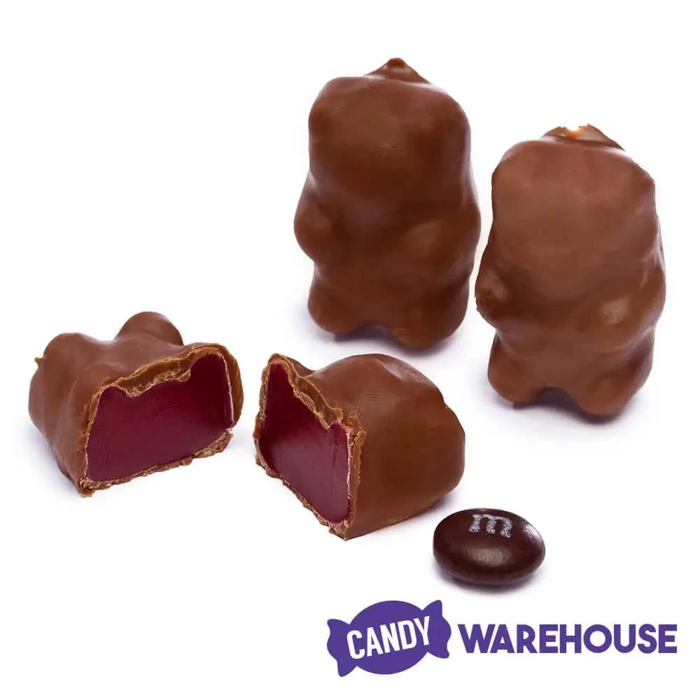 Chocolate Covered Cinnamon Bears: 3LB Bag - Image 2