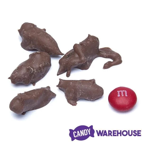 Chocolate Covered Crickets: 100-Piece Tub - Image 3